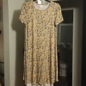 LuLa Roe Carly dress